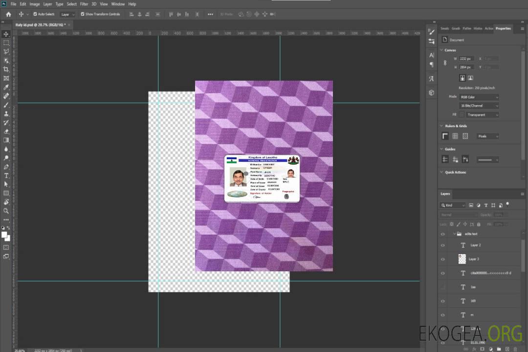 Photolook d'enregistrement national du Lesotho AVANT template